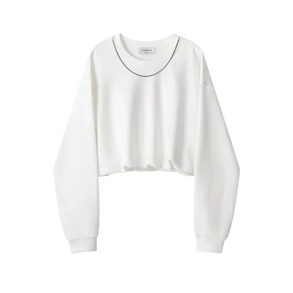 Y2K Aesthetic Cropped Hoodie: Autumn Winter Korean Fashion Sweatshirt