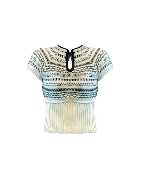 Y2K Summer Fashion Knit T-Shirt: Chinese Style Crop Top with Gyaru Aesthetic Twist